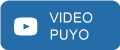 video puyo